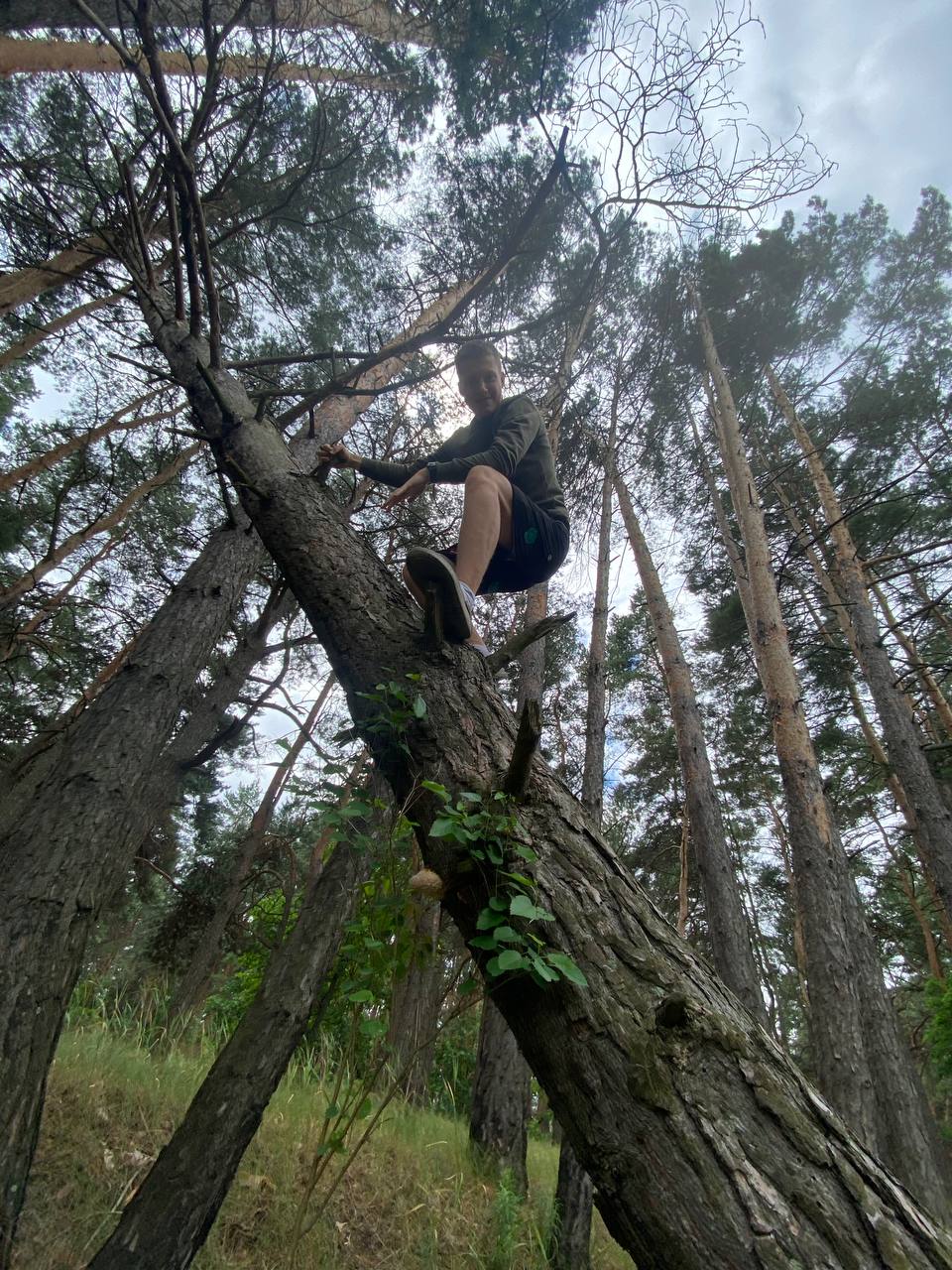 Artem